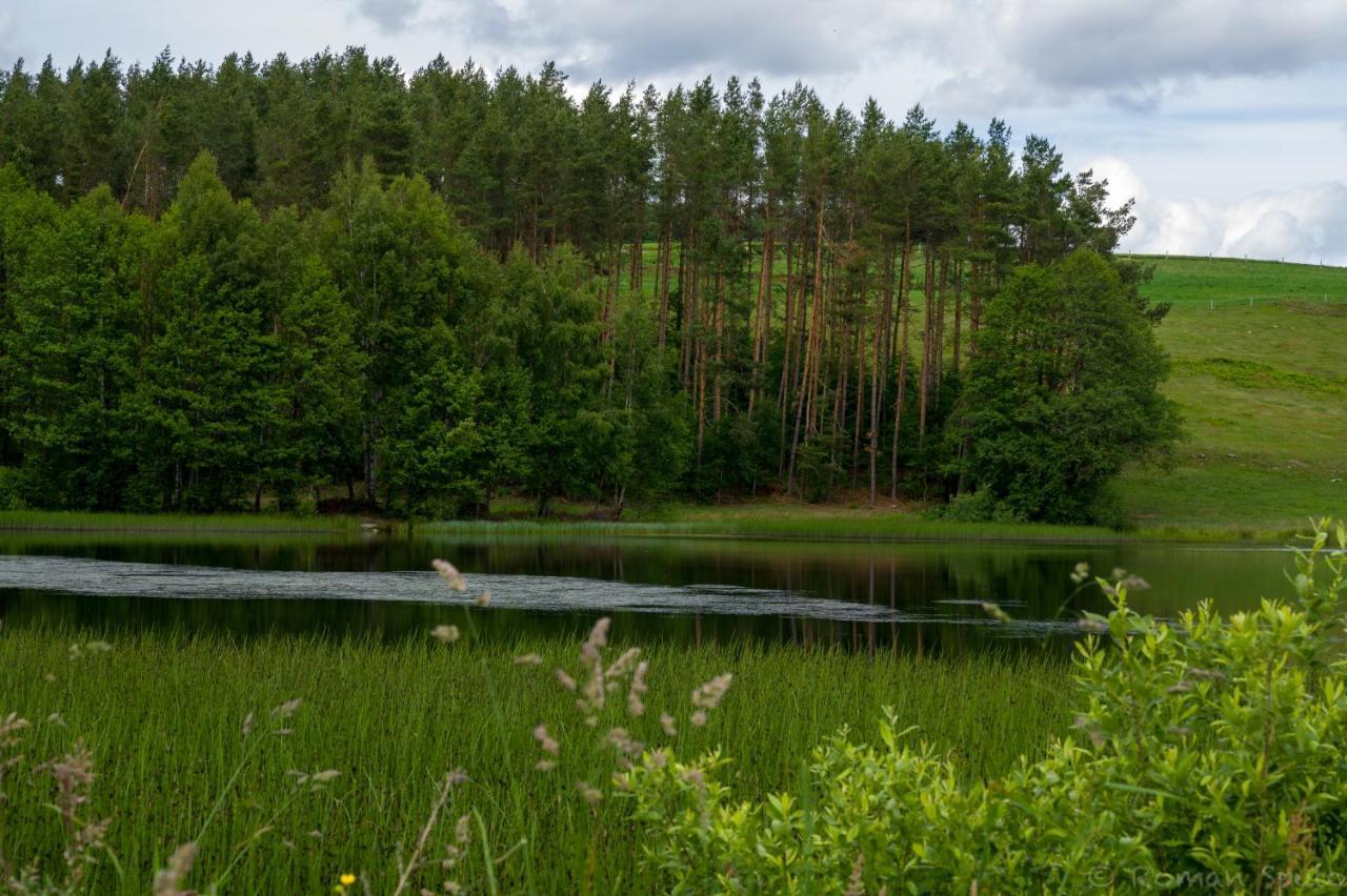 Вилла Kaszubska Odskocznia Ostoja Bukowo Borowy Mlyn Экстерьер фото