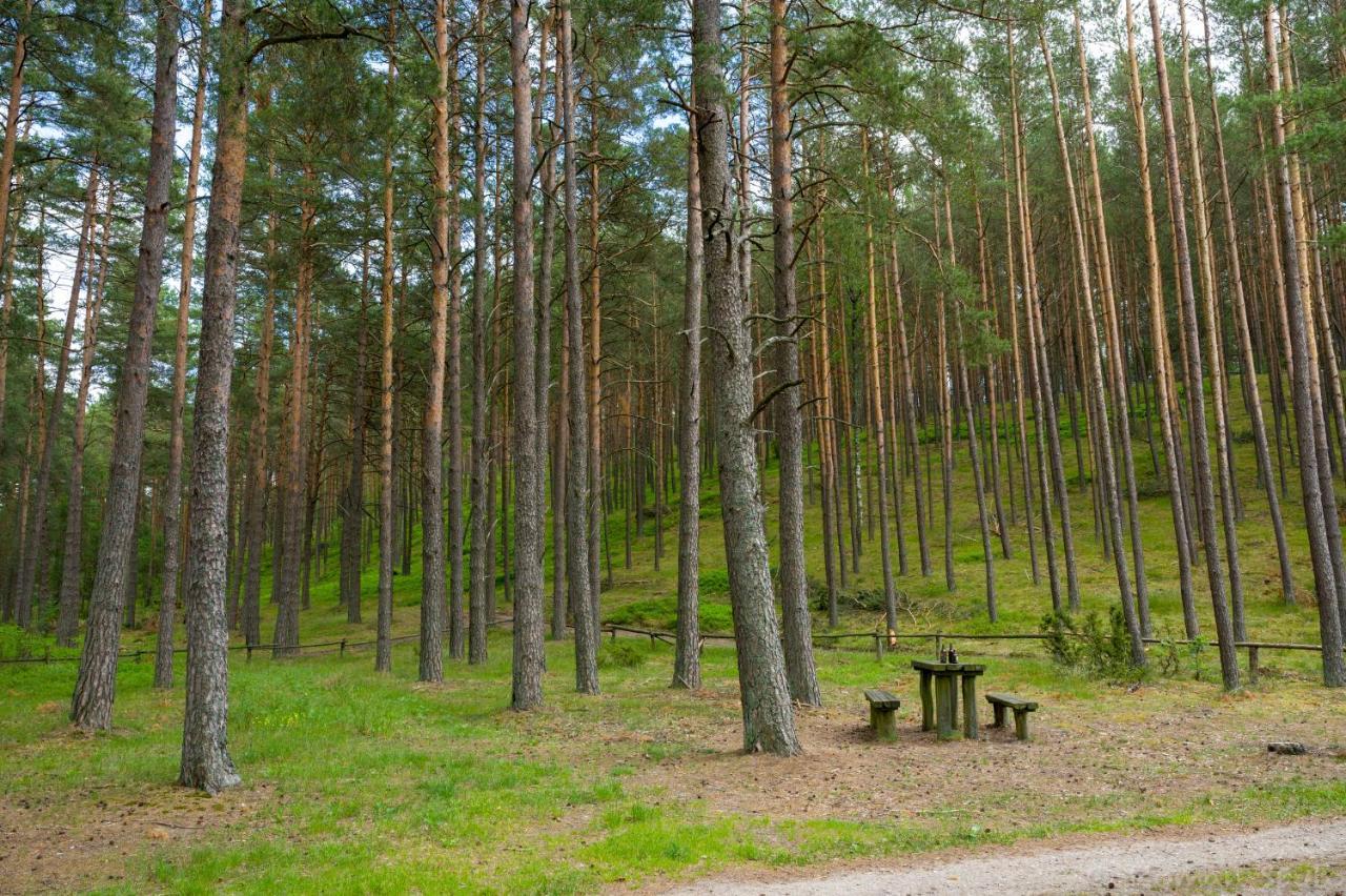 Вилла Kaszubska Odskocznia Ostoja Bukowo Borowy Mlyn Экстерьер фото